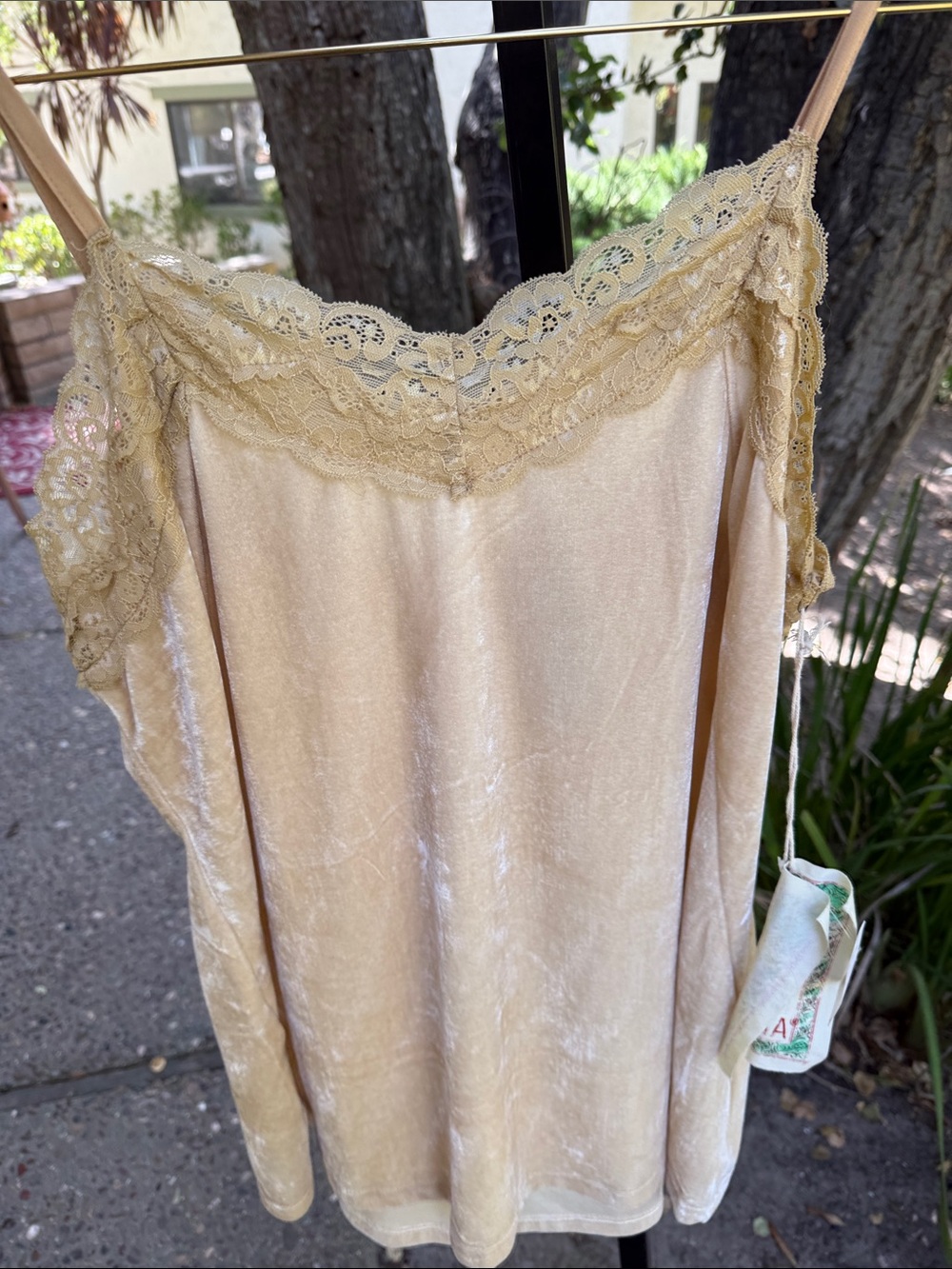 Aratta Pale Gold Lace-Trim Velvet Chemise - Picture 2 of 4